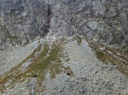 Photo Textures of High Tatras